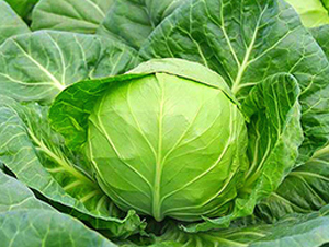 �K��25-���{(l��n)�N��-�н��N�I(y��)