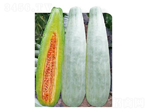 �߮a��Ǵ�-��ϷN��-�߶˷N�I(y��)