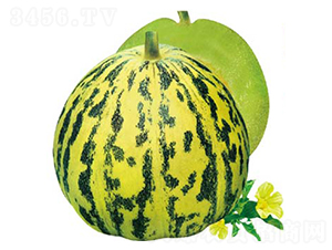 ��������-��ϷN��-�߶˷N�I(y��)