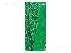 �߮a(ch��n)�L��-���ǷN��-�߶˷N�I(y��)