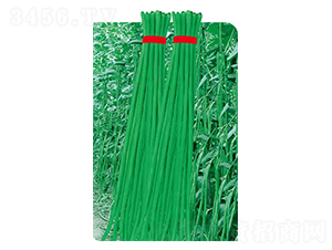 �����L��-���ǷN��-�߶˷N�I(y��)