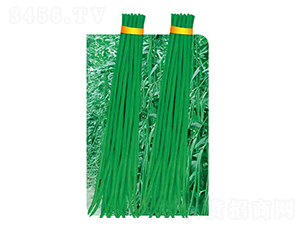 �����L��-���ǷN��-�߶˷N�I(y��)