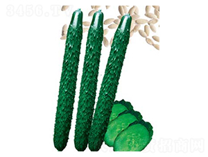 ����1988-�S�ϷN��-�߶˷N�I(y��)