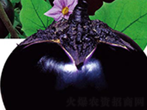 ���µ�һ������-���ӷN��-�߶˷N�I(y��)