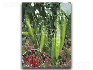 �t��712-�����N��-�ƈD�N�I(y��)