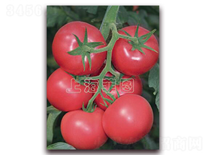 ����1810-��TY�۹����ѷN��-�ƈD�N�I(y��)