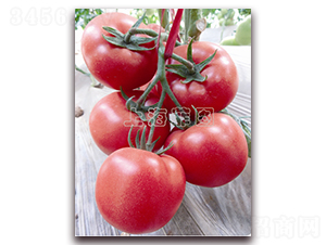 ����2067-��TY�۹����ѷN��-�ƈD�N�I(y��)