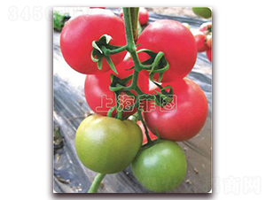 ������̖(h��o)-��TY�۹����ѷN��-�ƈD�N�I(y��)