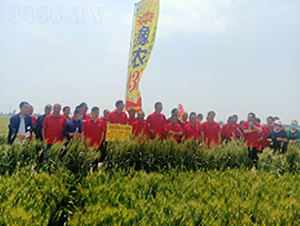 ԥ�r(n��ng)035-С���N��-���S�N�I(y��)