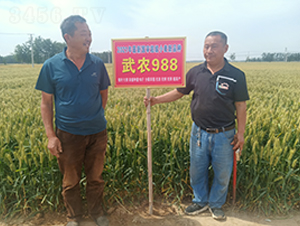 2021���������С����Ʒ�N���r(n��ng)988