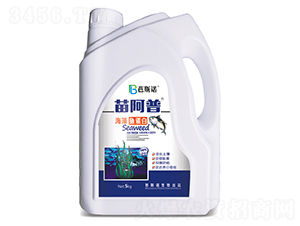 �����~����-�簢��-��˹�Z