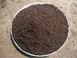 �o(w��)��������|(zh��)-�ݸ����B(t��i)