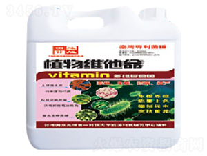 ֲ��S����-���a