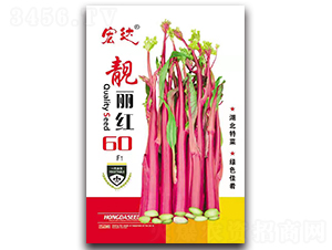 �n���t60F1-��̦�N��-���_