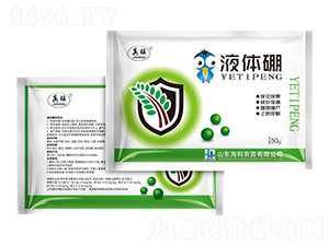 Һ�w���~���-����-�����S