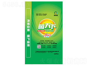 �����������-������-��(r��n)���r(n��ng)�I(y��)