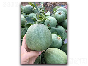 ��ϷN��-�A�~�N�I(y��)