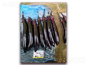 �����L��-���ӷN��-�A�~�N�I(y��)