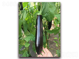 765�L��-���ӷN��-�A�~�N�I(y��)