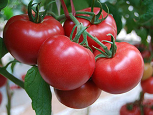 ���Ӳ������-���ѷN��-�A�~�N�I(y��)