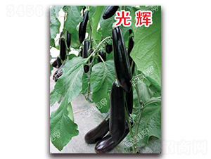 ���x-���ӷN��-�ϰľG��