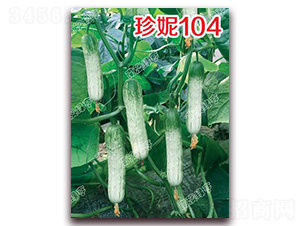 ����104-С�S�ϷN��-�ϰľG��