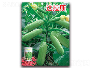 �_(d��)��˹-�����J�N��-�ϰľG��