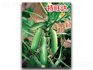 �����_(d��)-�����J�N��-�ϰľG��