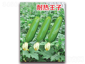 �͟�����-�����J�N��-�ϰľG��