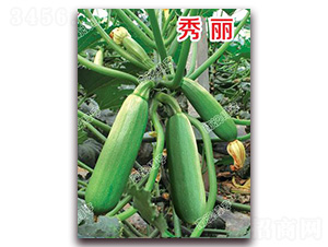 ����-�����J�N��-�ϰľG��