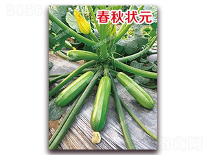 �����Ԫ-�����J�N��-�ϰľG��