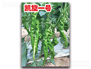 �P��һ̖(h��o)-�ݽz���N��-�ϰľG��