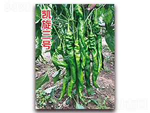 �P����̖(h��o)-�ݽz���N��-�ϰľG��