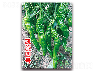 �P����̖(h��o)-�ݽz���N��-�ϰľG��