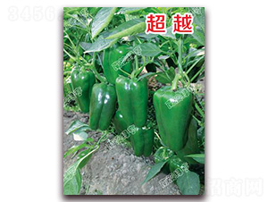 ��Խ-�𽷷N��-�ϰľG��