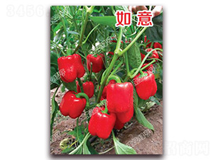 ����-�𽷷N��-�ϰľG��