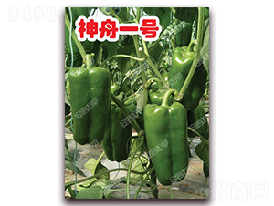 ����һ̖(h��o)-�𽷷N��-�ϰľG��