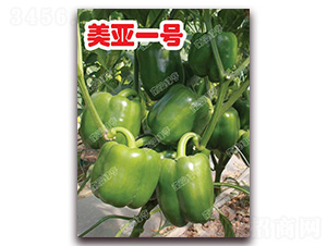 ����һ̖(h��o)-�𽷷N��-�ϰľG��