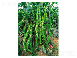 ���塤�o(w��)��-�����N��-Ӣ���m��