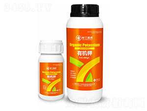 �ЙC�-�~�m�߿�