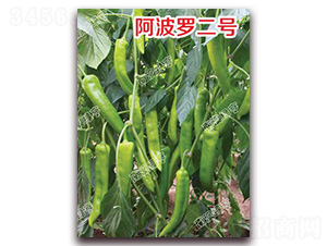 �����_��̖(h��o)-�⽷�N��-�ϰľG��