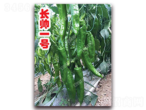 �L(zh��ng)��һ̖(h��o)-�⽷�N��-�ϰľG��