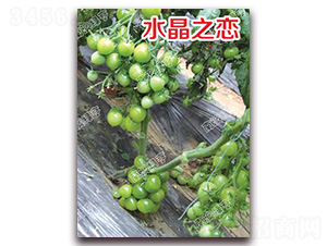 ˮ��֮��-��ɫ���ѷN��-�ϰľG��