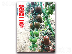 ��ϼ��̖(h��o)-��ɫ���ѷN��-�ϰľG��