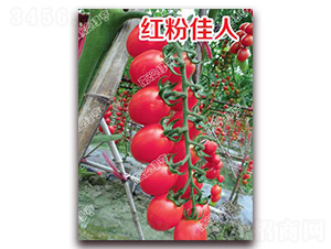 �t�ۼ���-���ҷ��ѷN��-�ϰľG��