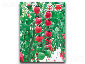 ʥ��-���ҷ��ѷN��-�ϰľG��