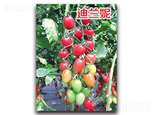 ���m��-���ҷ��ѷN��-�ϰľG��