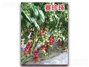 ِ����-���ҷ��ѷN��-�ϰľG��