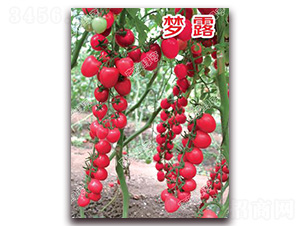 ��(m��ng)¶-���ҷ��ѷN��-�ϰľG��