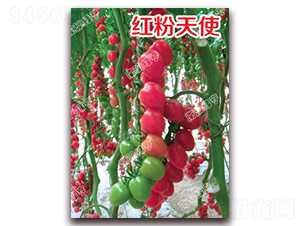 �t����ʹ-���ҷ��ѷN��-�ϰľG��